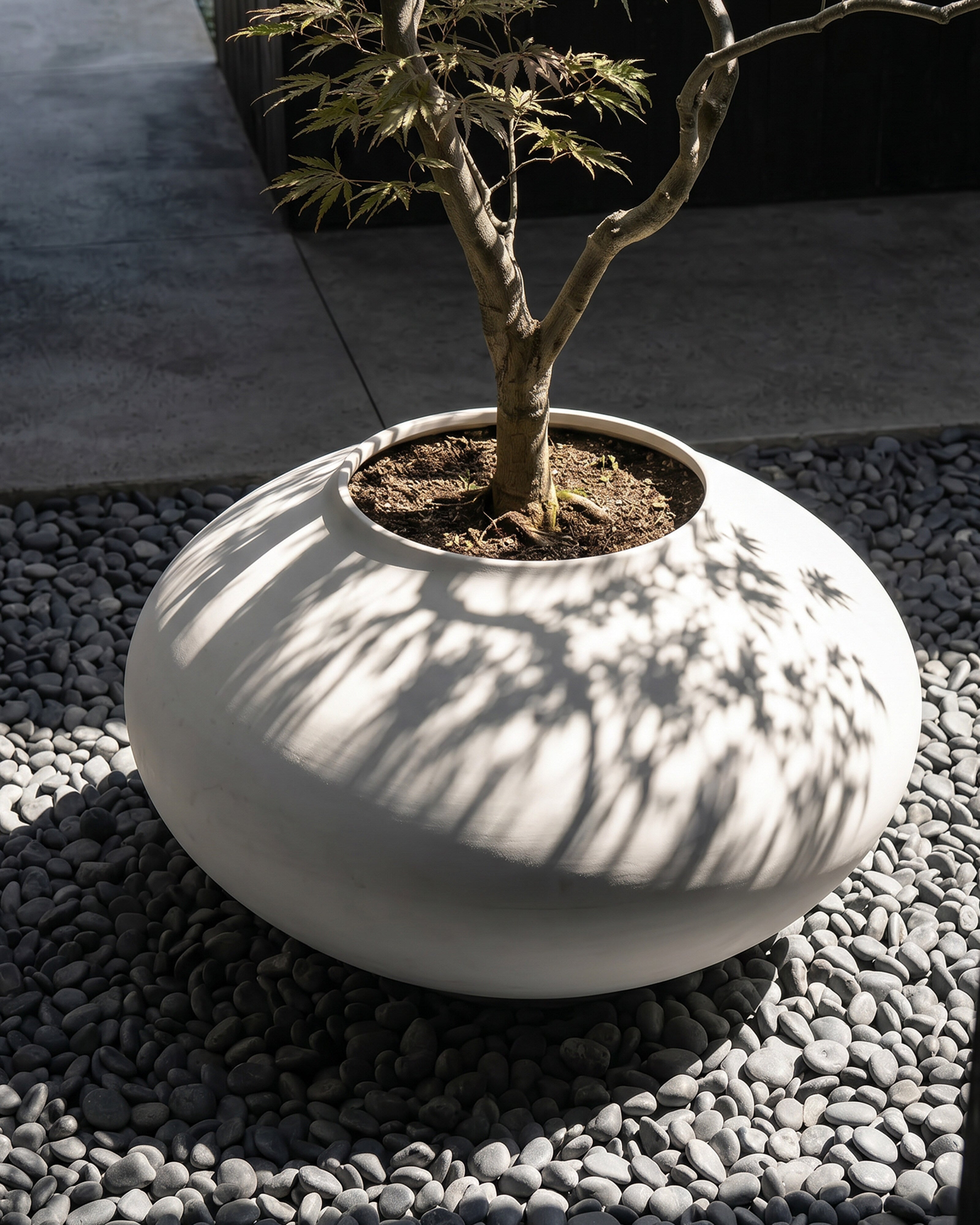101-copenhagen-sunao-plant-pot-ellipse-giant-blumentopf-birch image 4