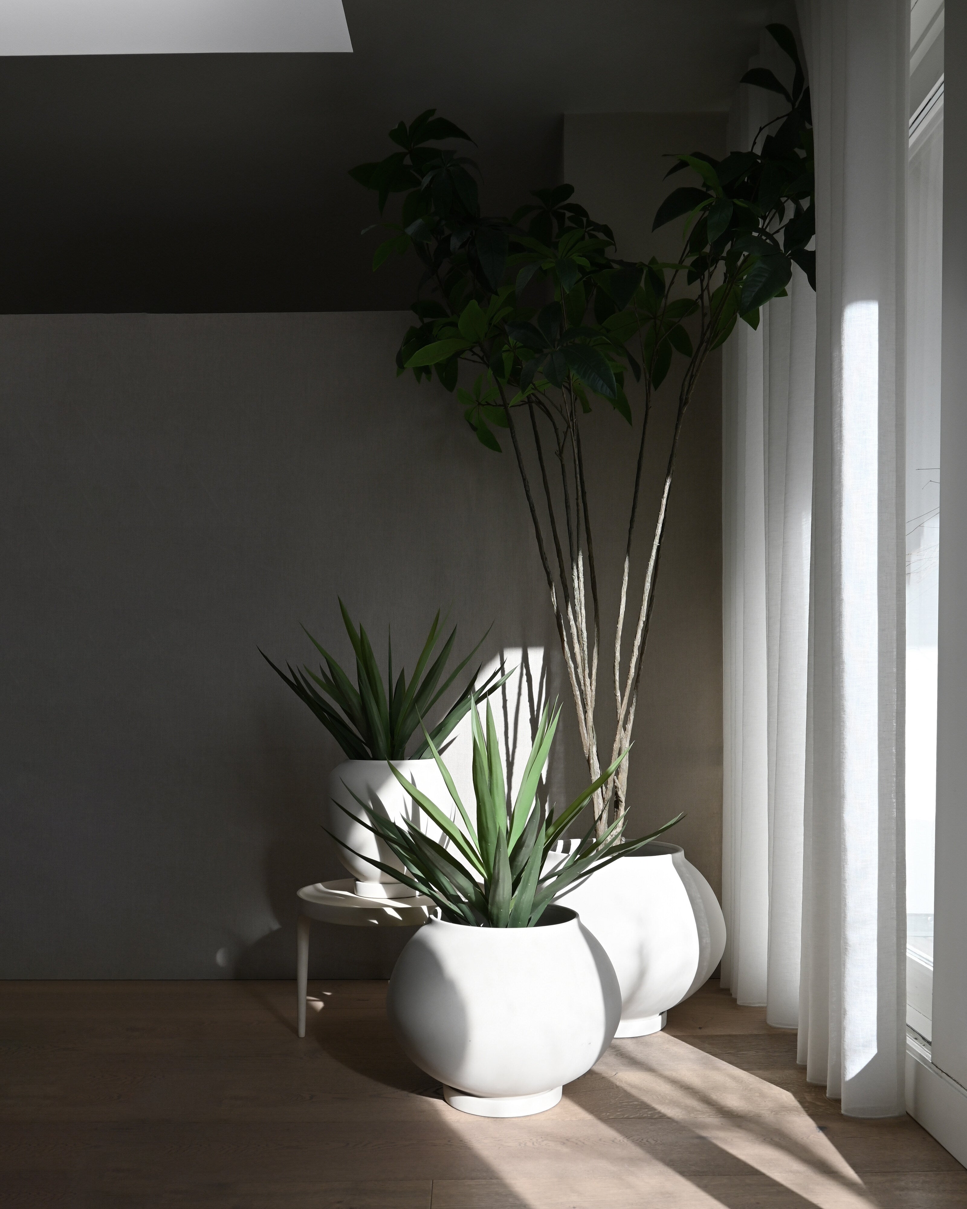 101-copenhagen-sunao-plant-pot-fat-big-blumentopf-birch image 5