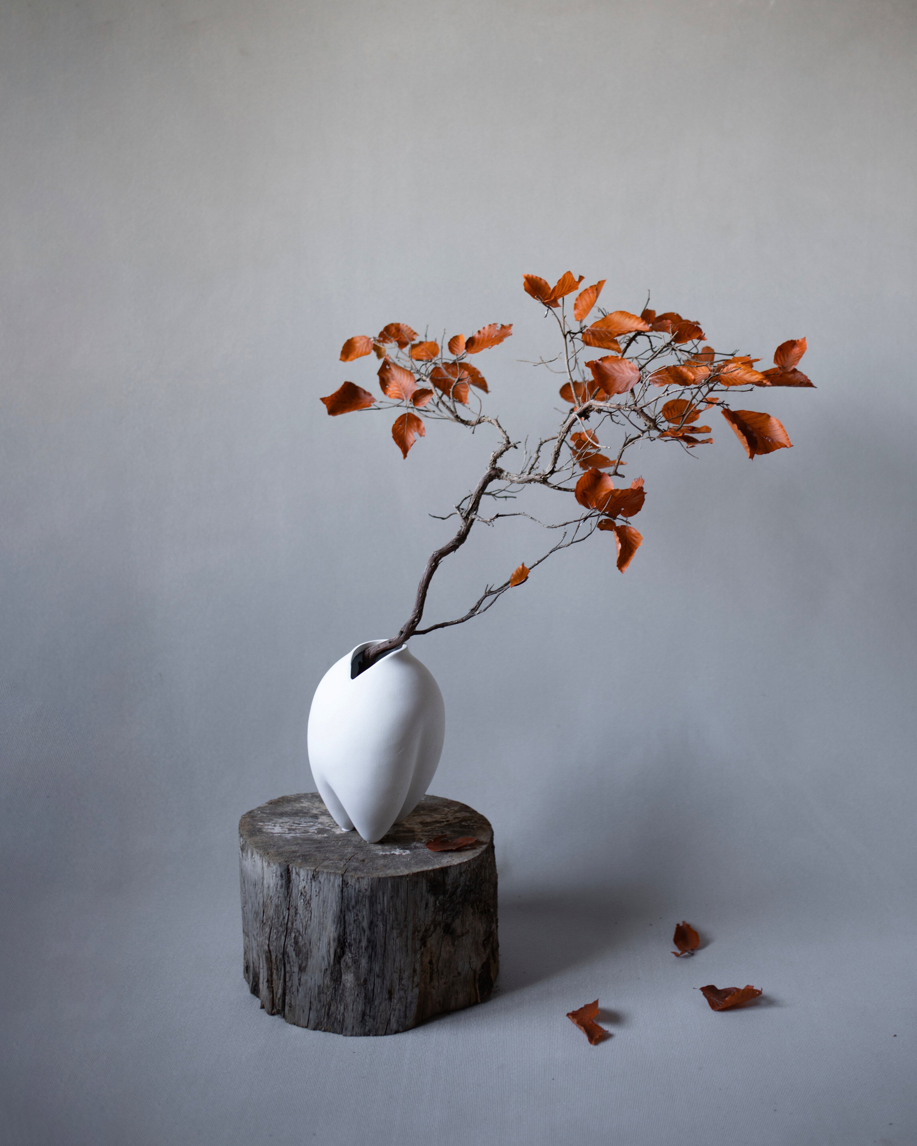 101-copenhagen-sumo-vase-slim-petit-bone-white-keramik image 2