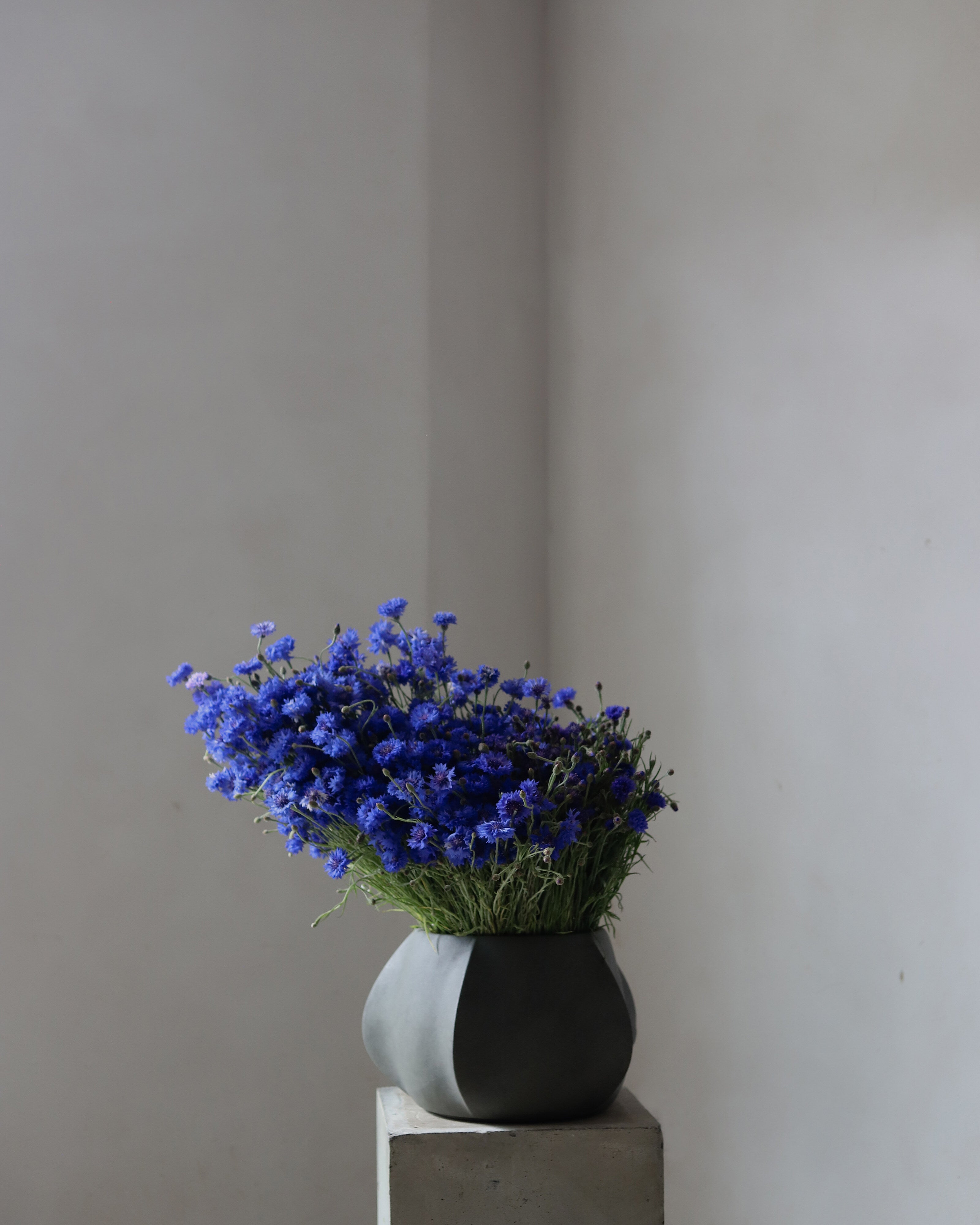 101-copenhagen-arket-plant-pot-mini-blumentopf-dark-grey image 2