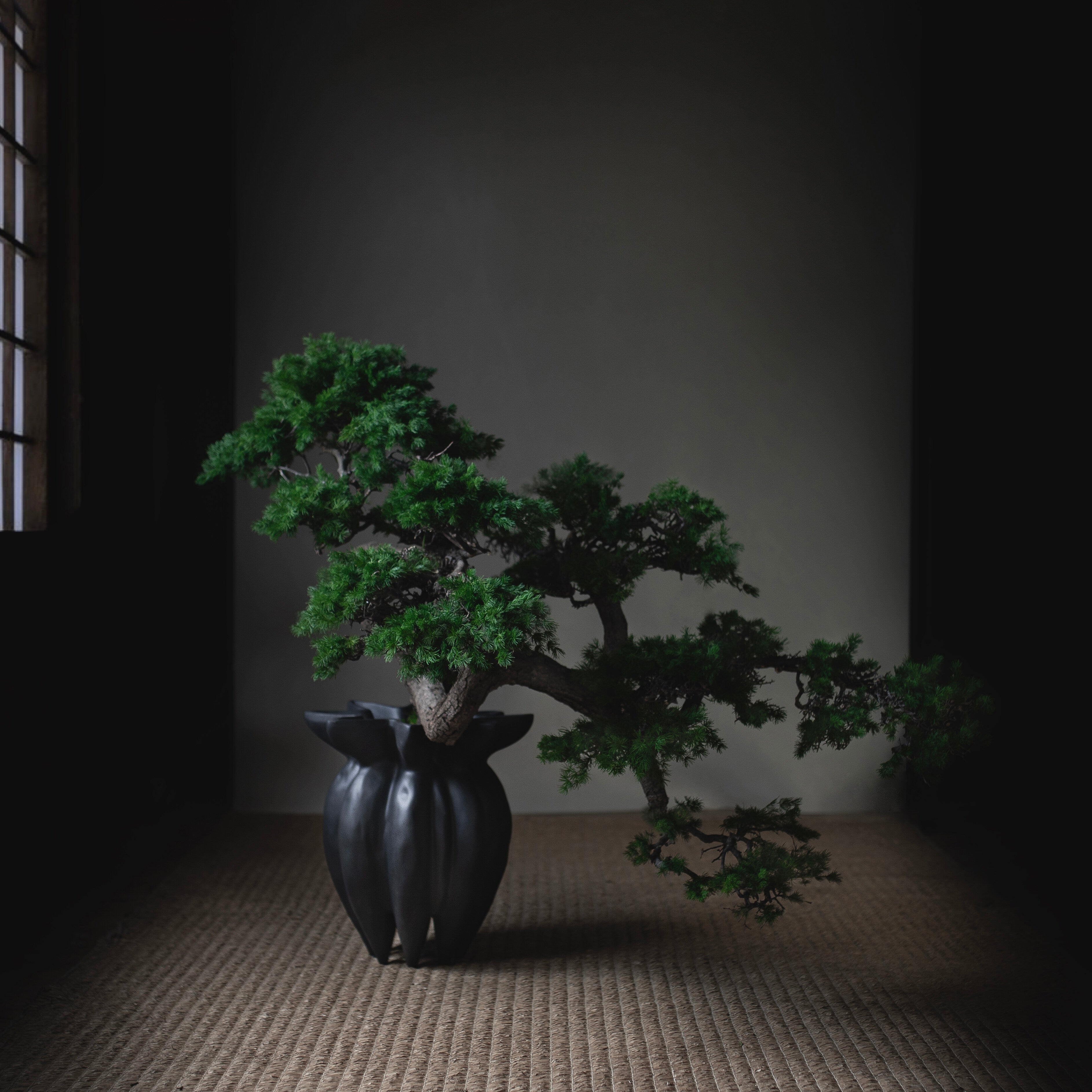 101-copenhagen-lotus-vase-mini-coffee-keramik image 3