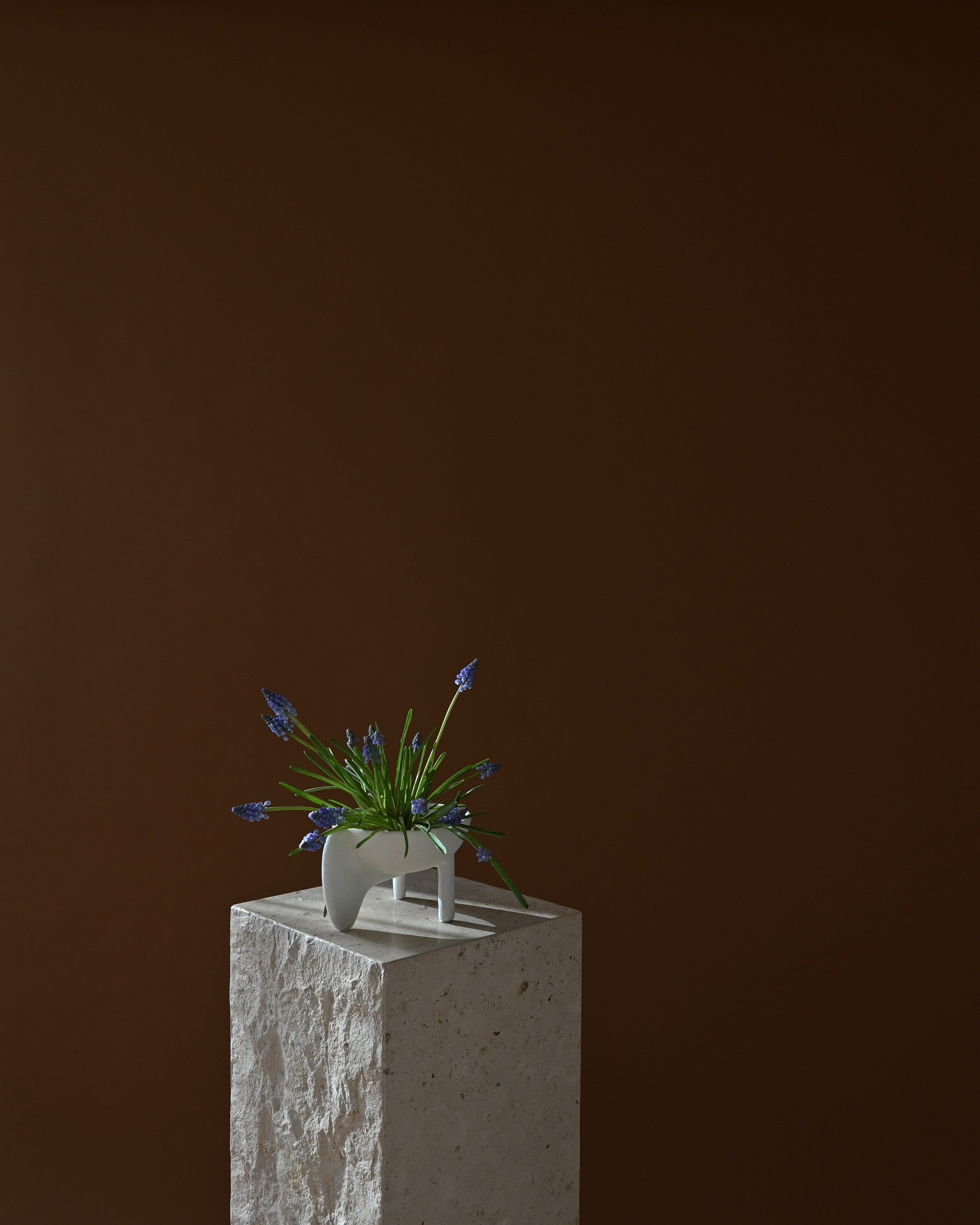 101-copenhagen-wing-bowl-mini-schale-bone-white-keramik image 3