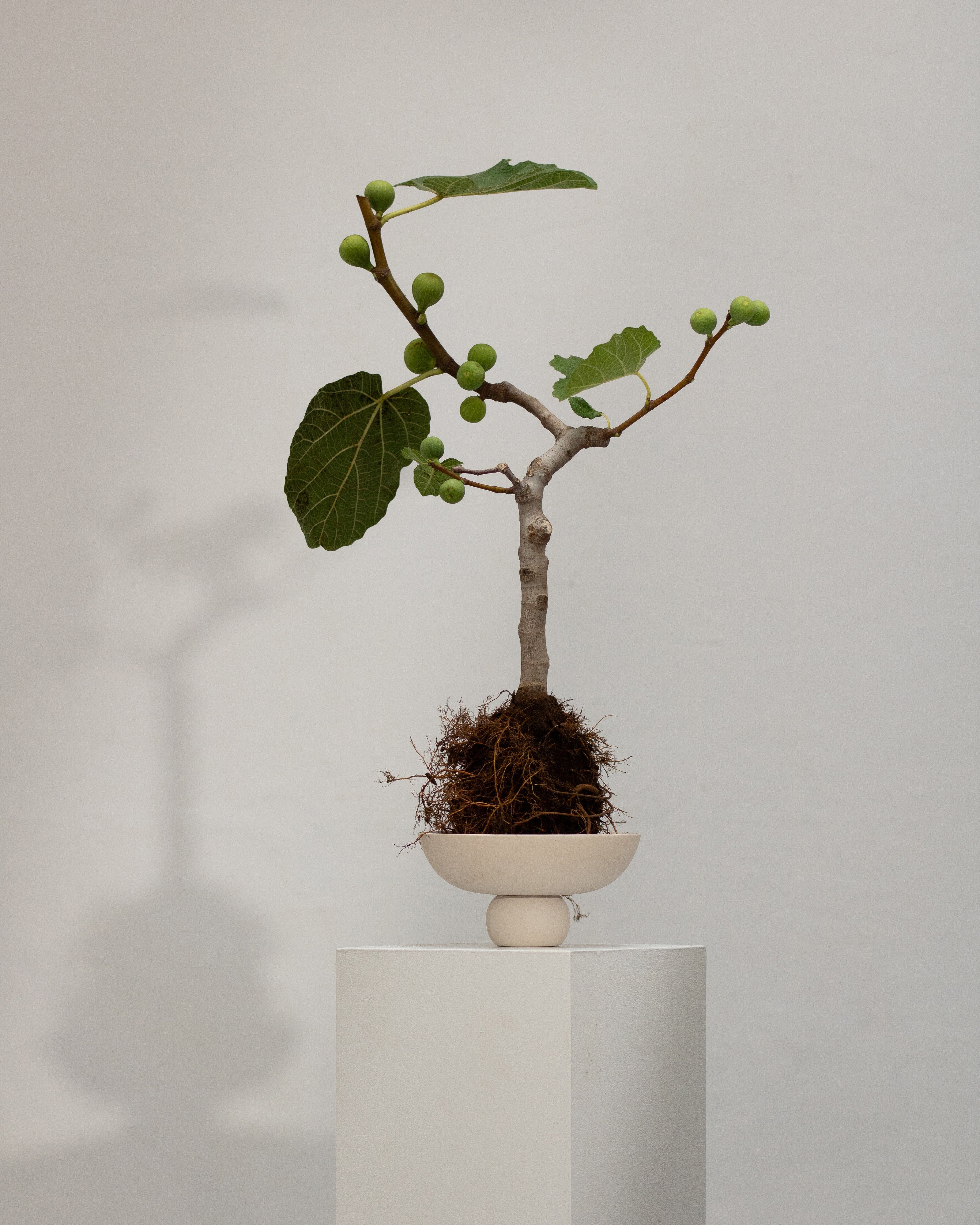 101-copenhagen-baburu-bowl-mini-schale-keramik-birke image 7