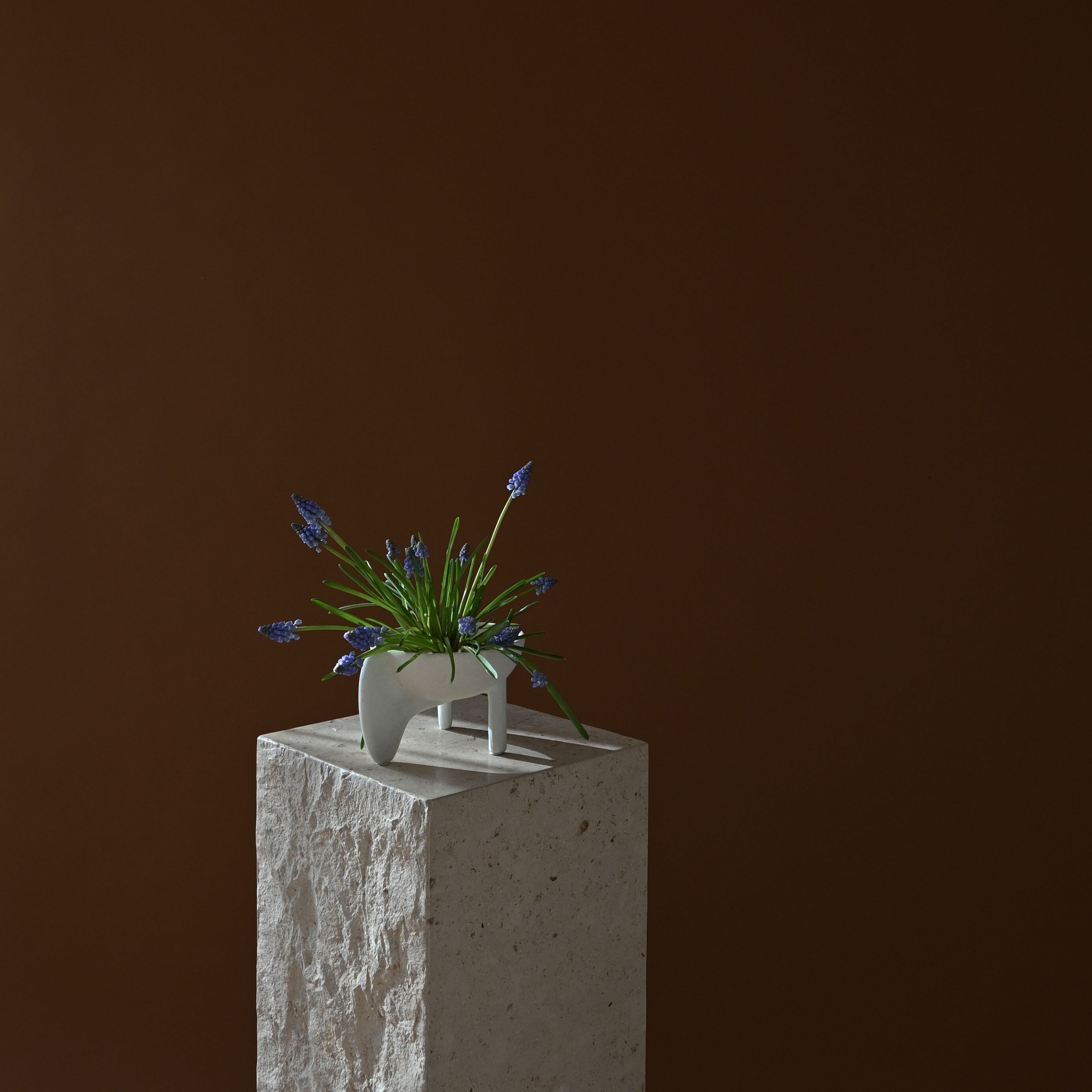 101-copenhagen-wing-bowl-mini-schale-bone-white-keramik image 1