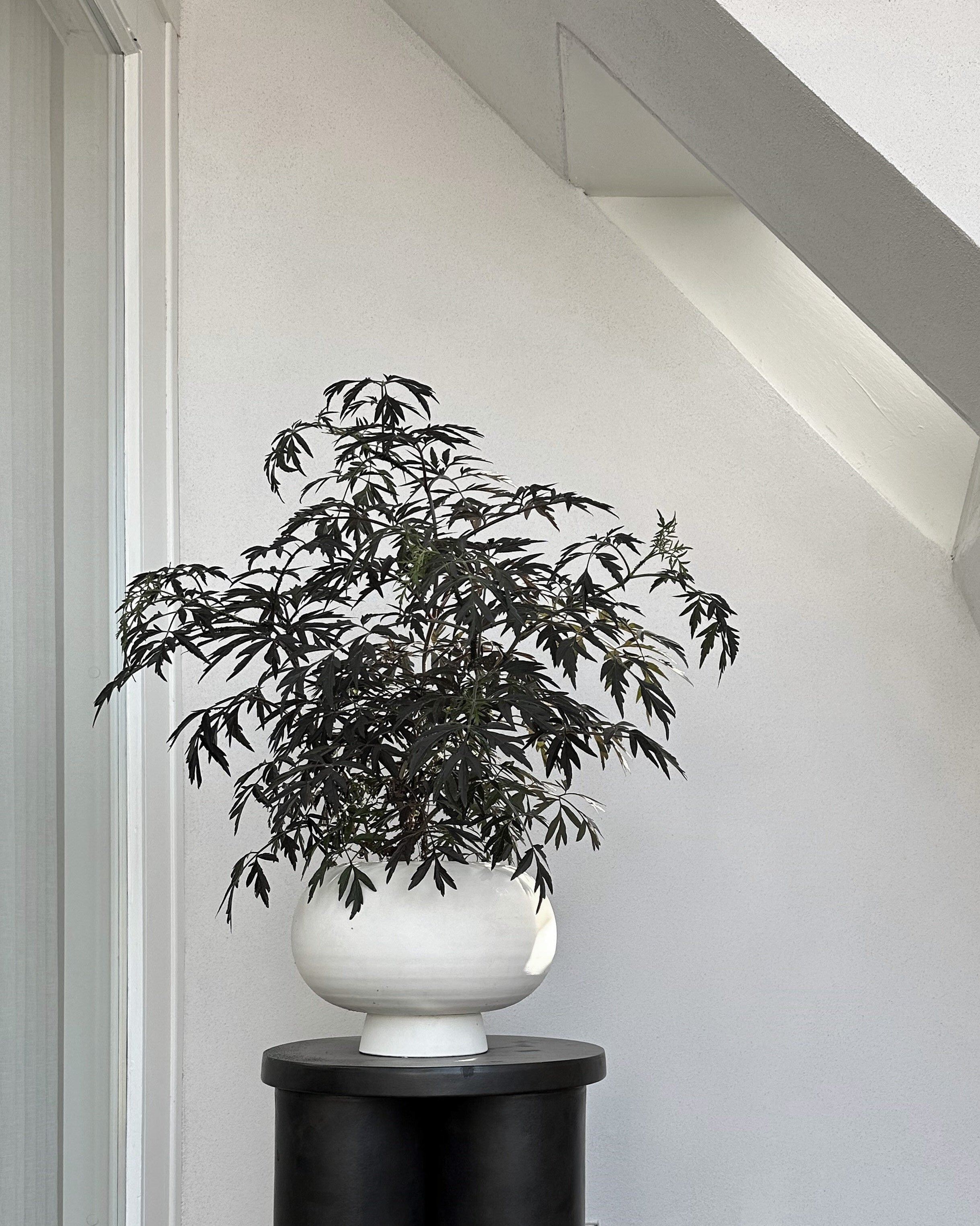 101-copenhagen-kabin-vase-fat-bone-white image 4