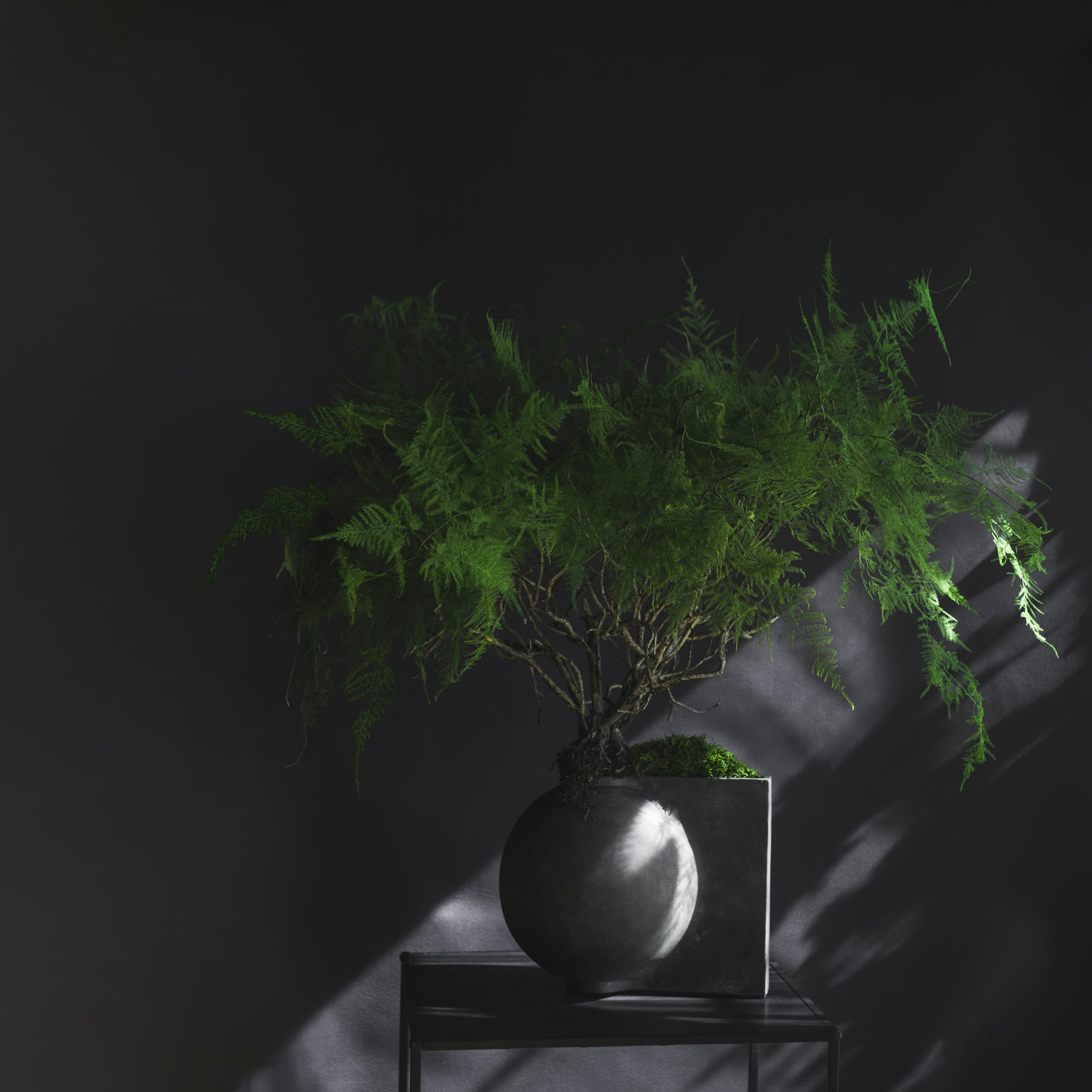 101-copenhagen-offset-mini-blumenvase-dark-grey-beton image 6