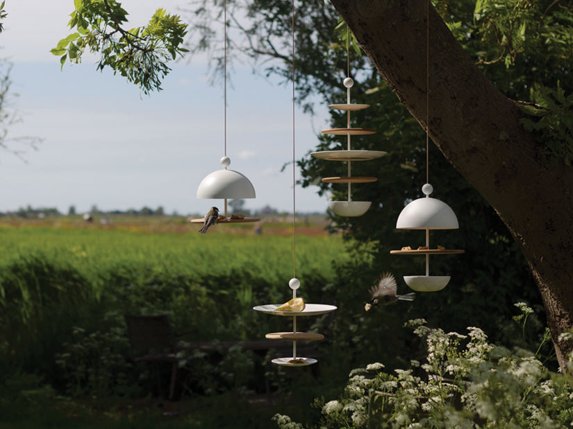 frederik-roij-dish-of-desire-vogelfutterhaus-2-gang-men image 4