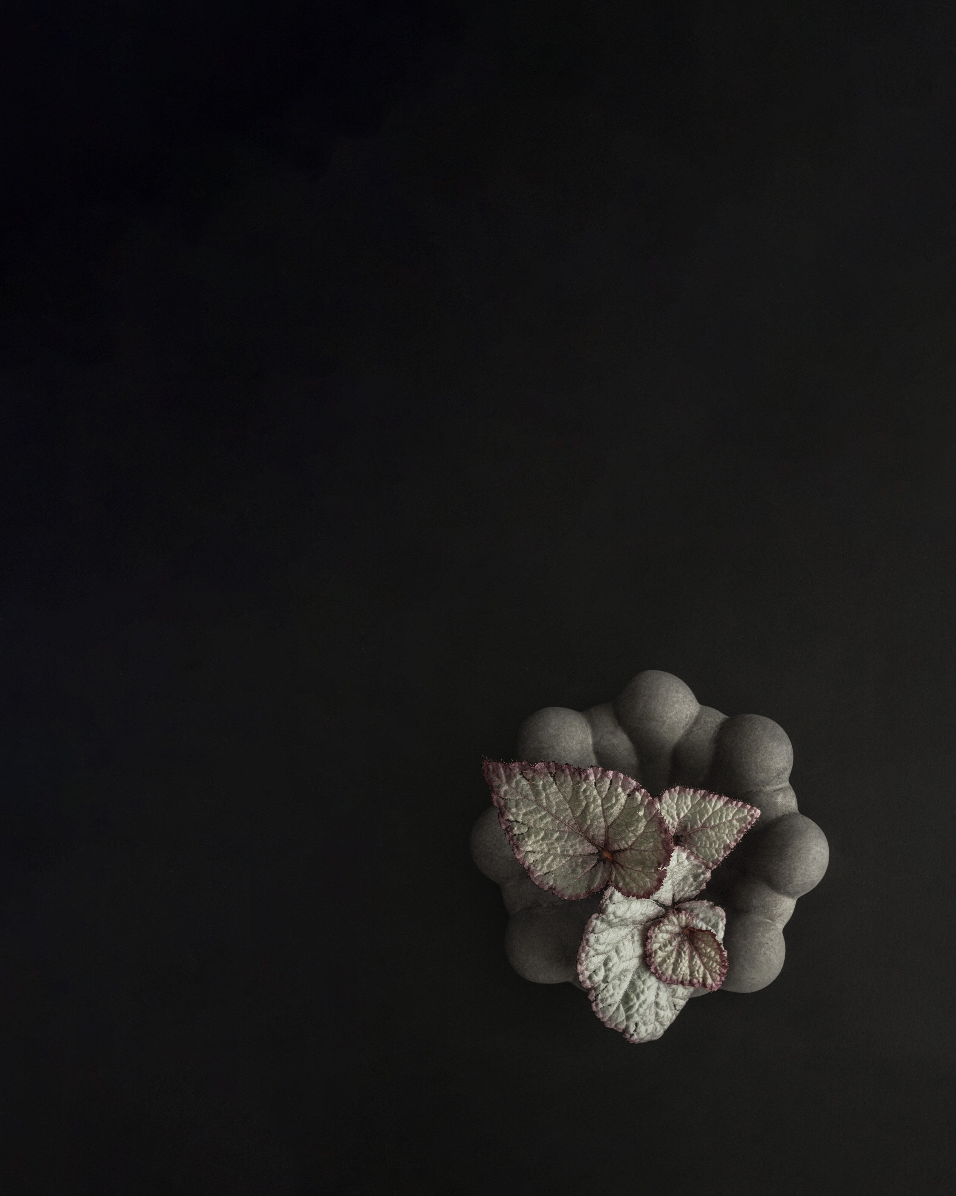 101-copenhagen-bloom-tray-mini-tablett-dark-grey image 8