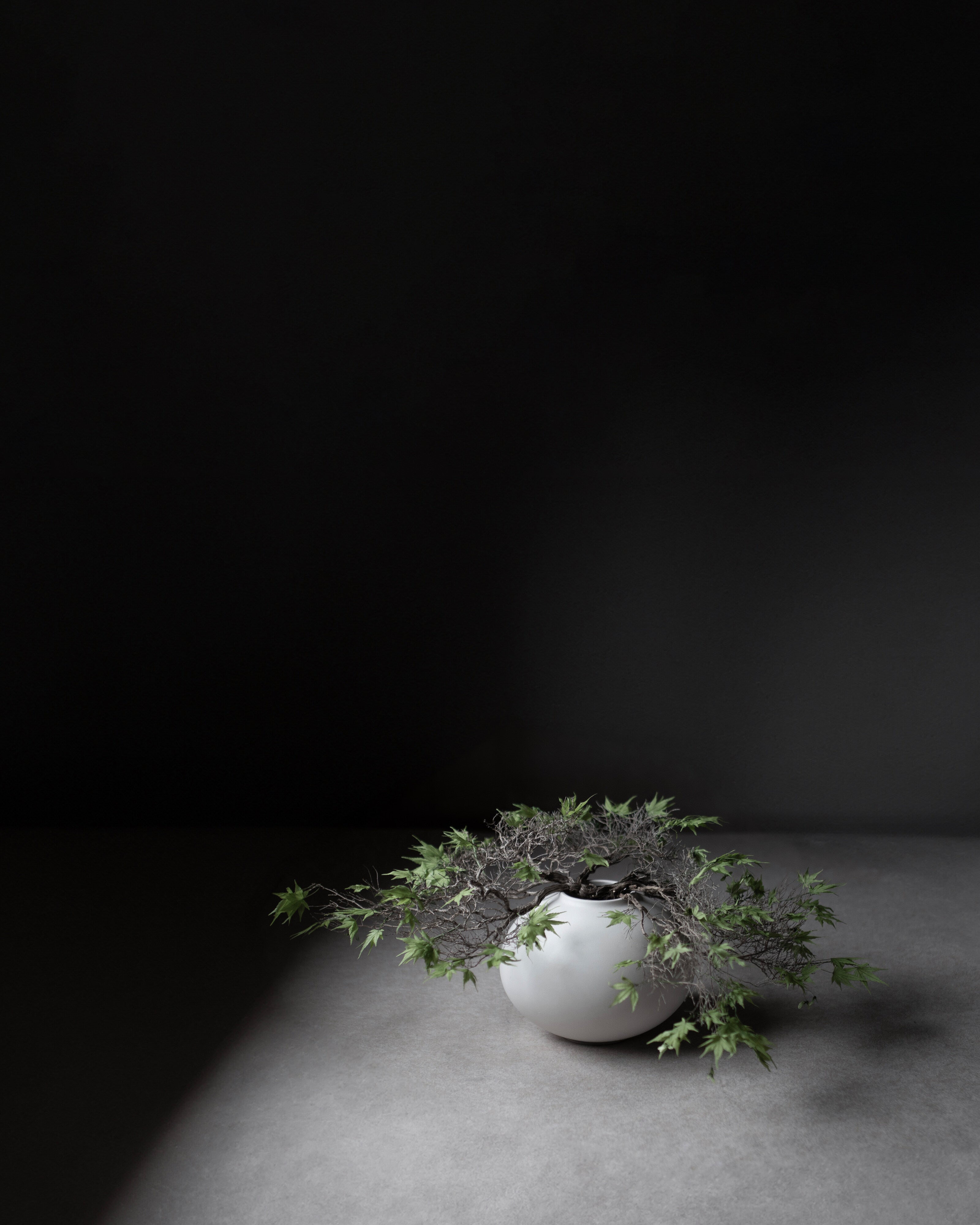 101-copenhagen-sunao-fat-mini-vase-birch-keramik-matt image 7