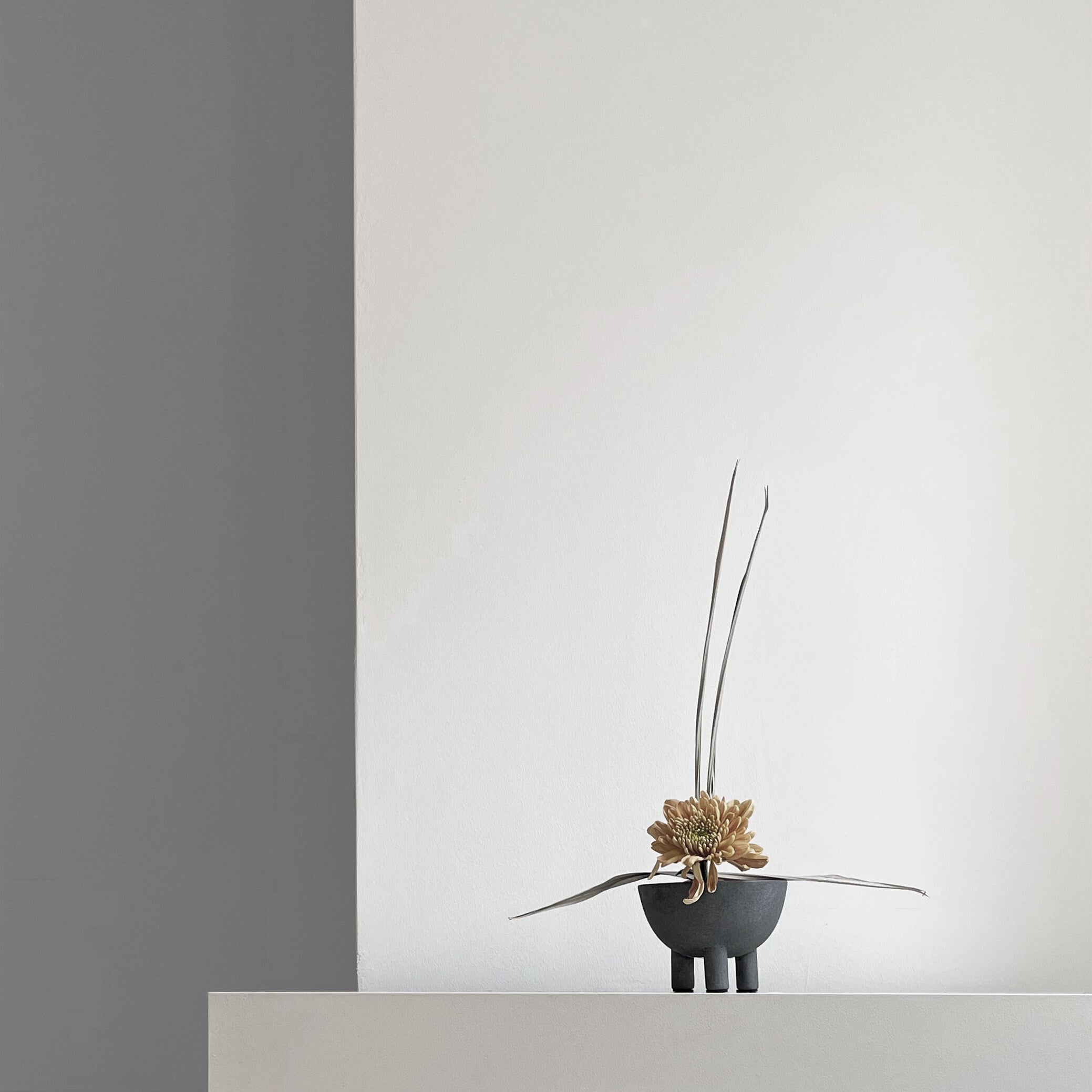 101-copenhagen-duck-bowl-schale-mini-dark-grey-keramik image 6